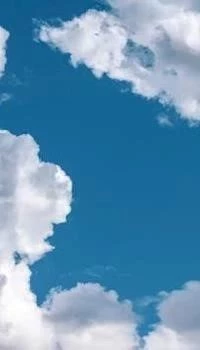 Cloud vs. Downloadable Crypto Bots