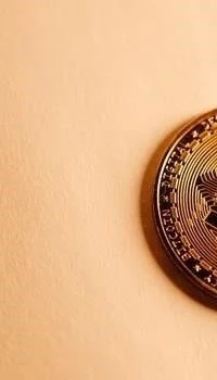 Crypto bot update installation
