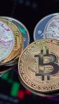 The Impact of Downloading a Crypto Options Bot on Your Portfolio