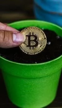 Unlocking Potential with a Downloaded Crypto Options Bot